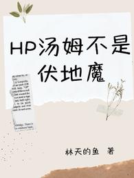 HP汤姆不是伏地魔