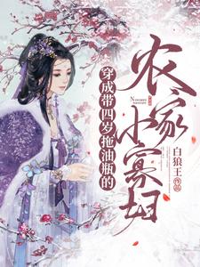 穿成带四岁拖油瓶的农家小寡妇林诗云百里墨