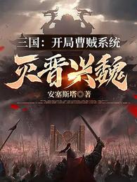 三国：开局曹贼系统，灭晋兴魏