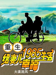 重生1985，给妻儿幸福生活钱亦文英子