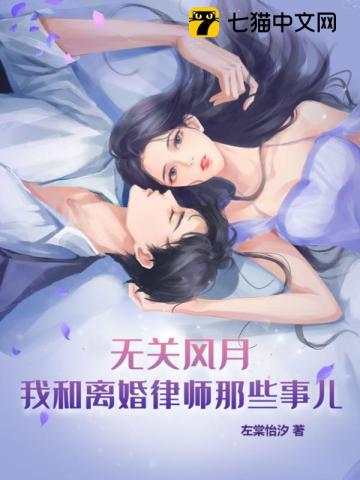 无关风月，我和离婚律师那些事儿南柠沈清衍