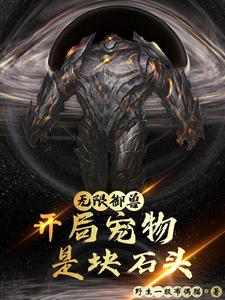 无限御兽：开局宠物是块石头付寒